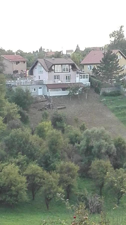 Panorama Apartman Molvice Экстерьер фото